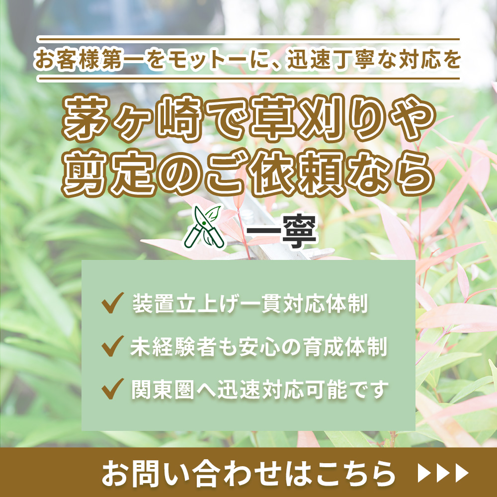 modal_banner